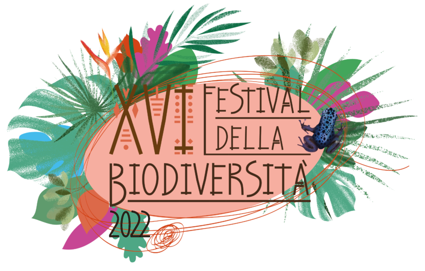 Il programma del Festival