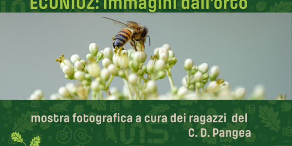 ECONIUZ: immagini dall'orto