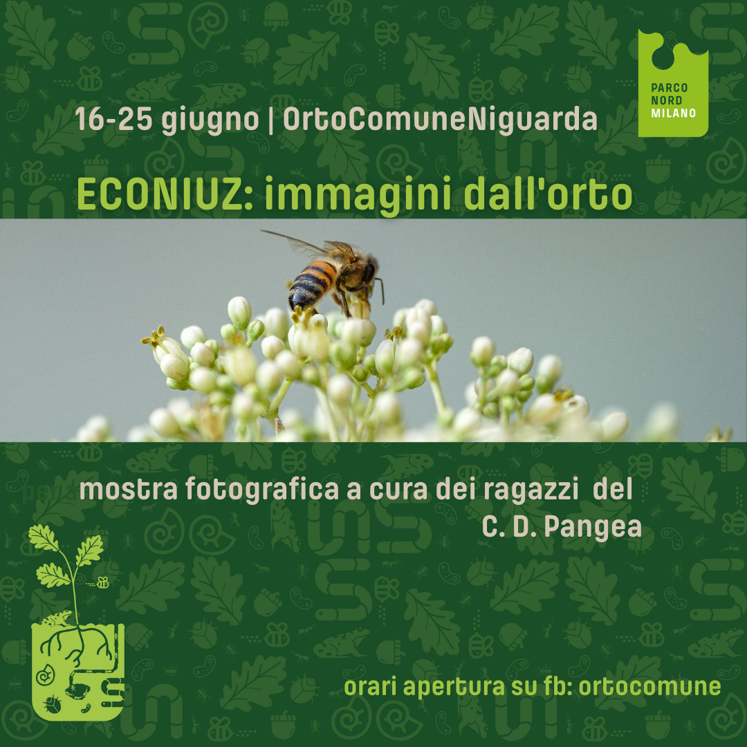 ECONIUZ: immagini dall’orto