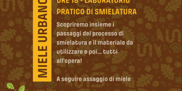 MIELE URBANO: frutto del dialogo tra flora, api e uomo