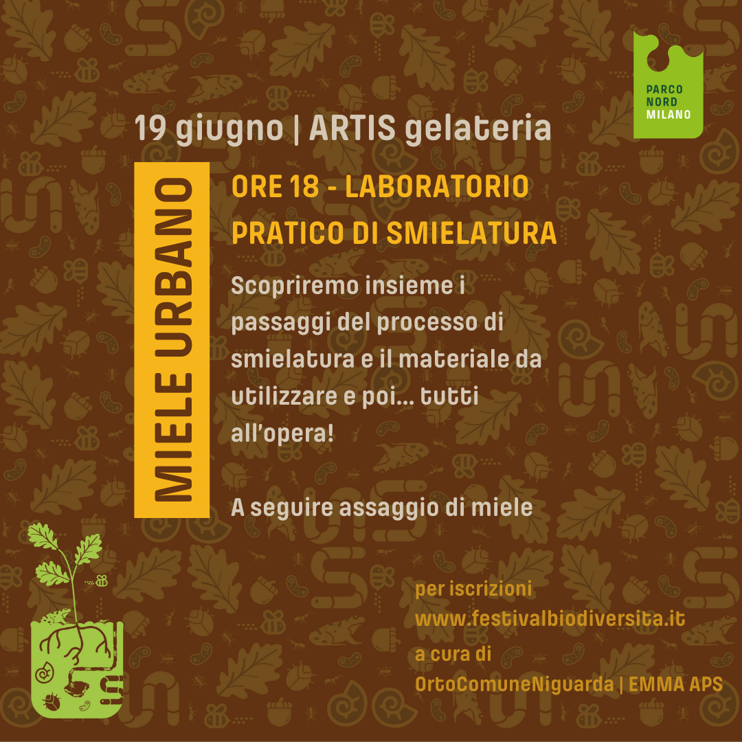 MIELE URBANO: frutto del dialogo tra flora, api e uomo MIELE URBANO: frutto del dialogo tra flora, api e uomo
