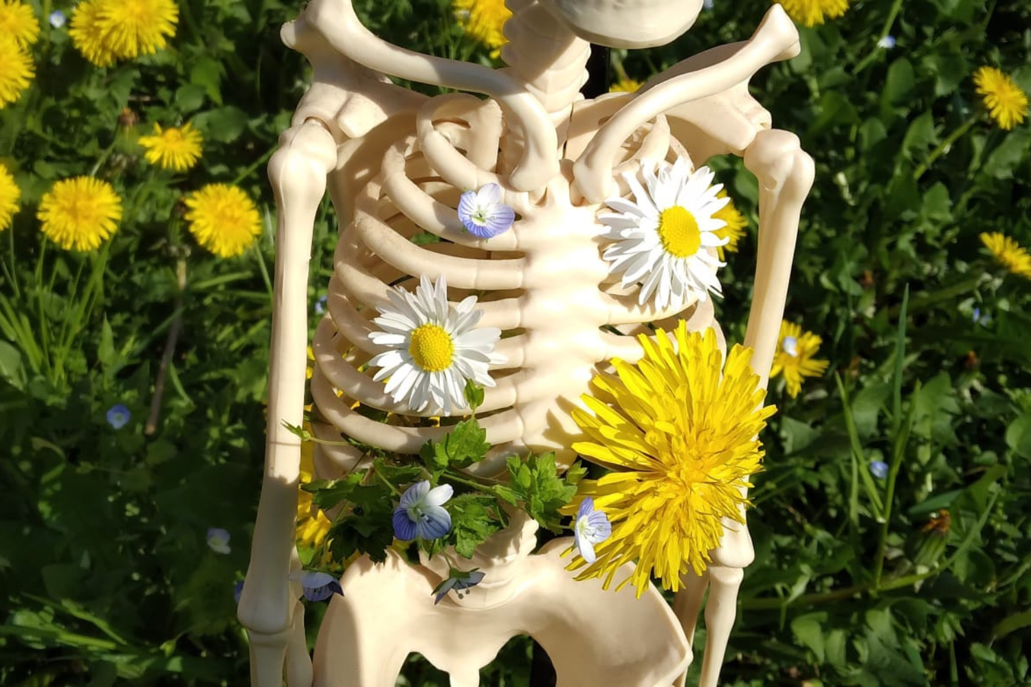 Nuove conversazioni tra vertebre e radici Nuove conversazioni tra vertebre e radici