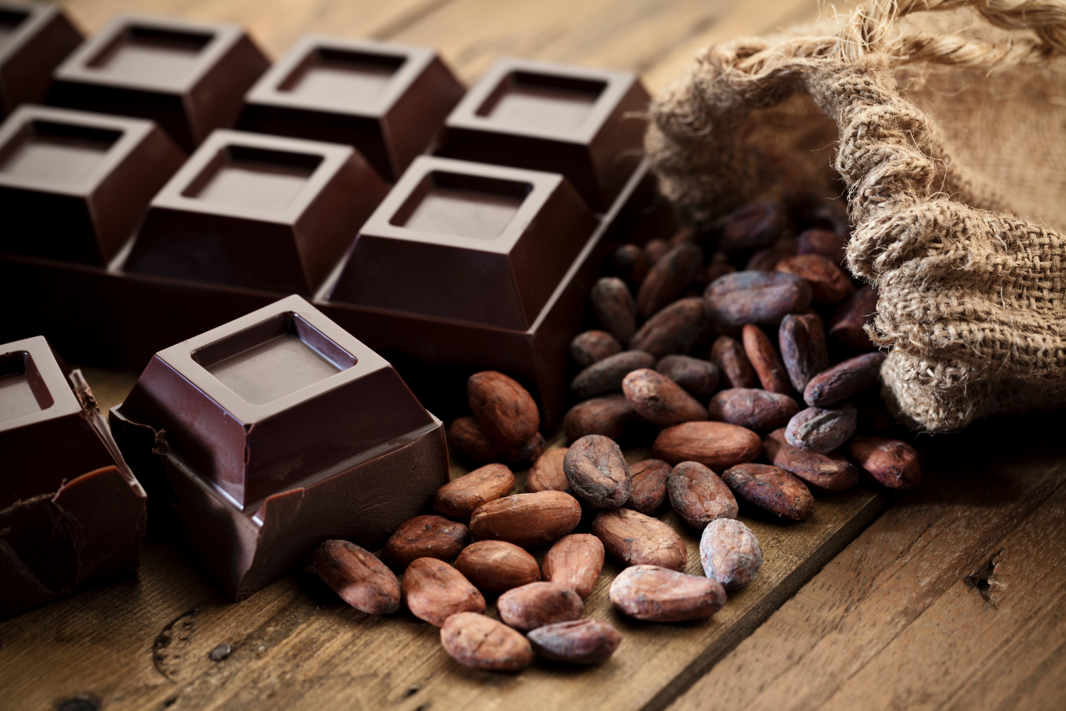 Il cioccolato: un’opportunità per la terra e per le persone che vi abitano Il cioccolato: un’opportunità per la terra e per le persone che vi abitano