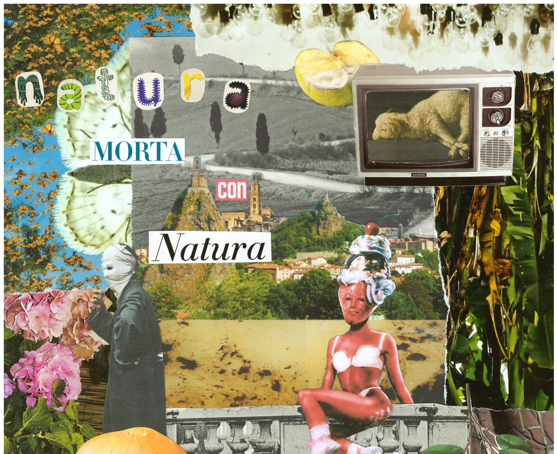 Natura morta con natura