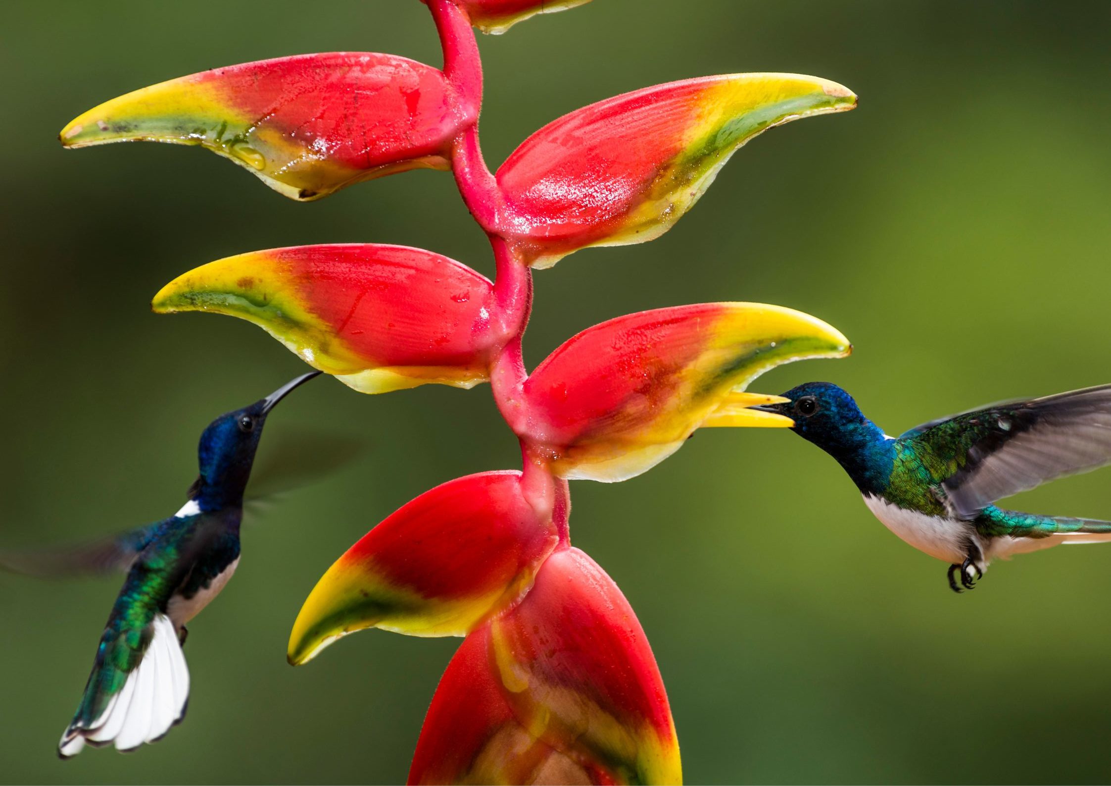 Visita guidata presso il Museo di Storia Naturale – VALORE BIODIVERSITÀ