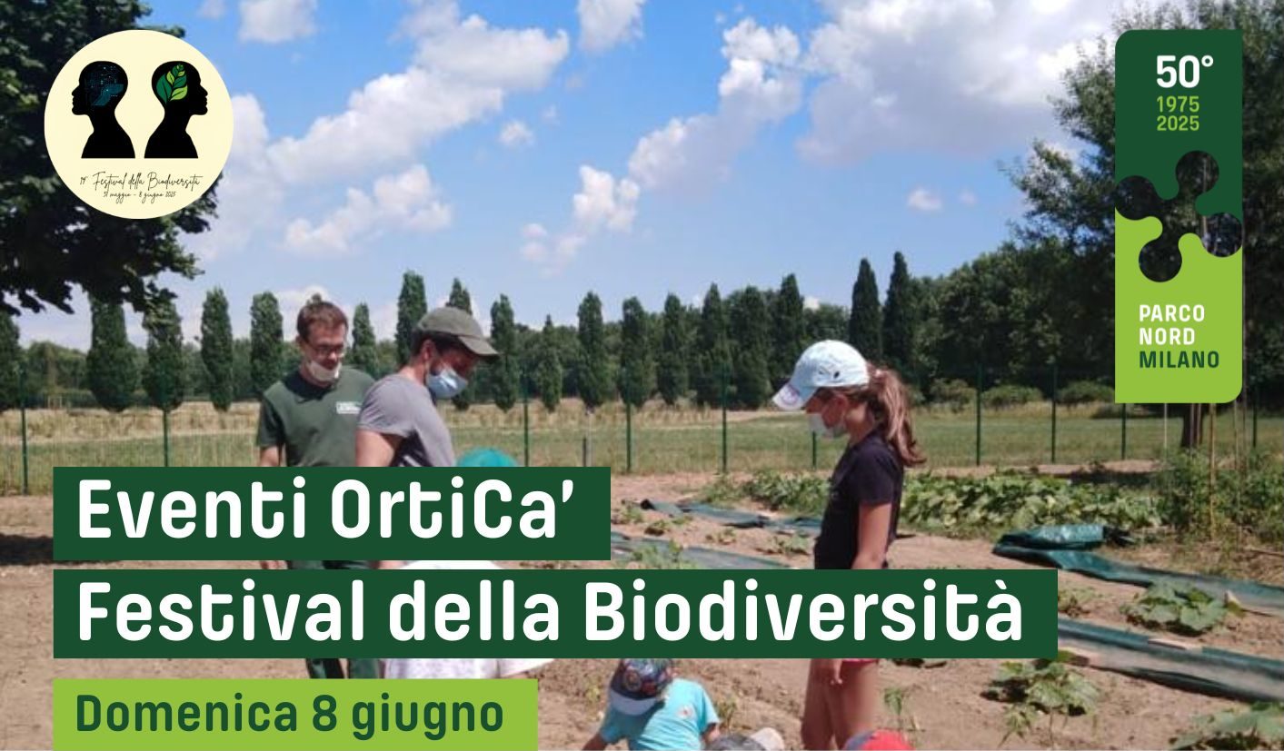 Percorso sensoriale tra le erbe aromatiche e percorso di riconoscimento delle erbe spontanee