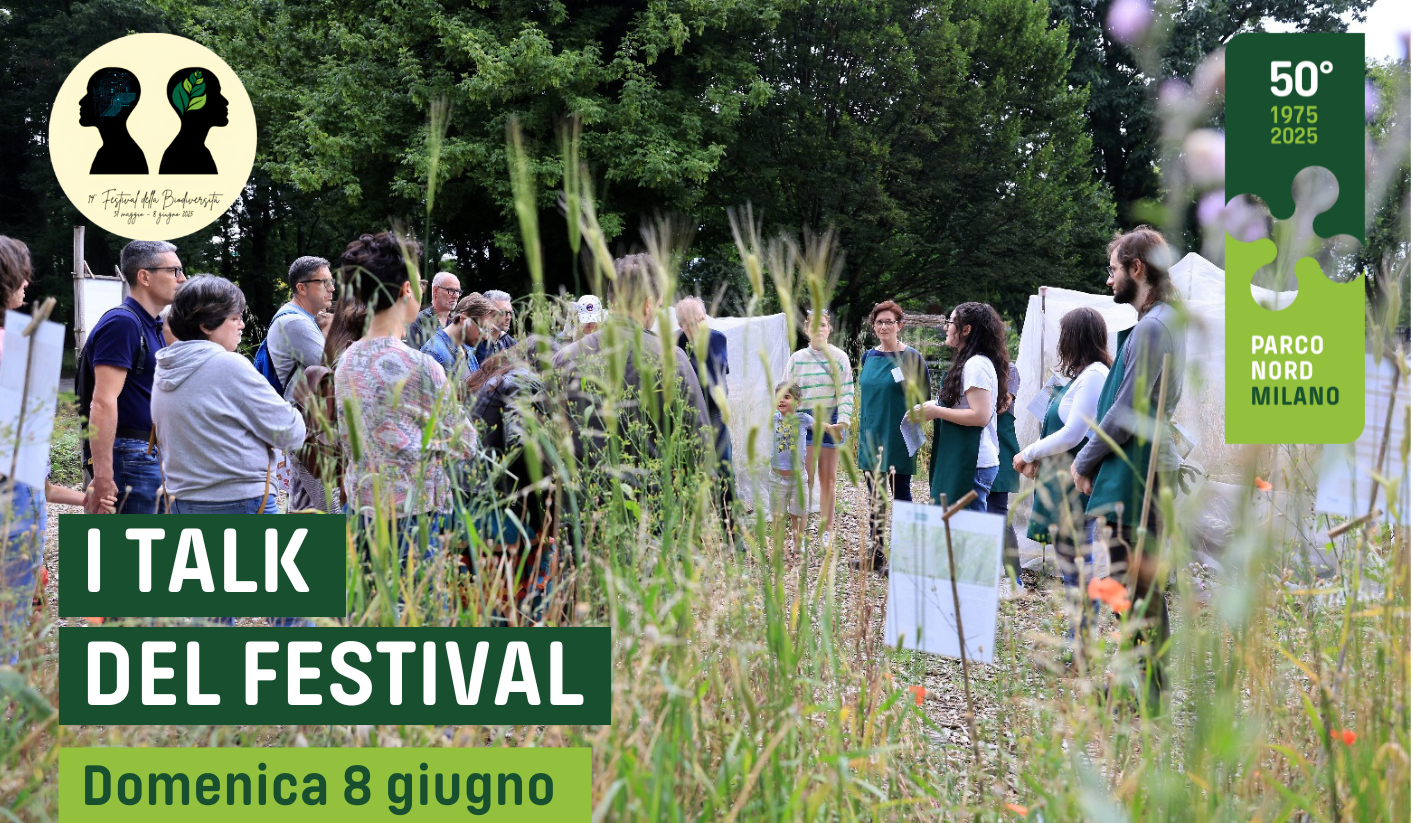 I talk del Festival: L’intelligenza delle api, intelligenze naturali (un approccio di filosofia attiva), Le tessitrici.