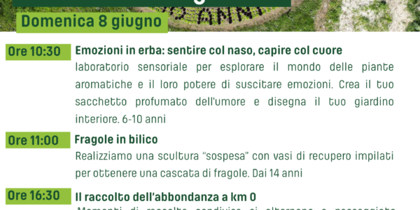 Fragole in bilico