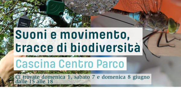 Suoni e movimento, tracce di biodiversità