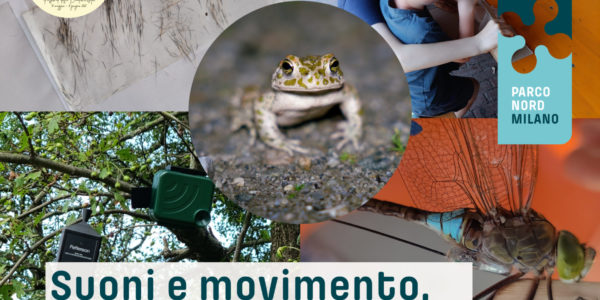 Suoni e movimento, tracce di biodiversità
