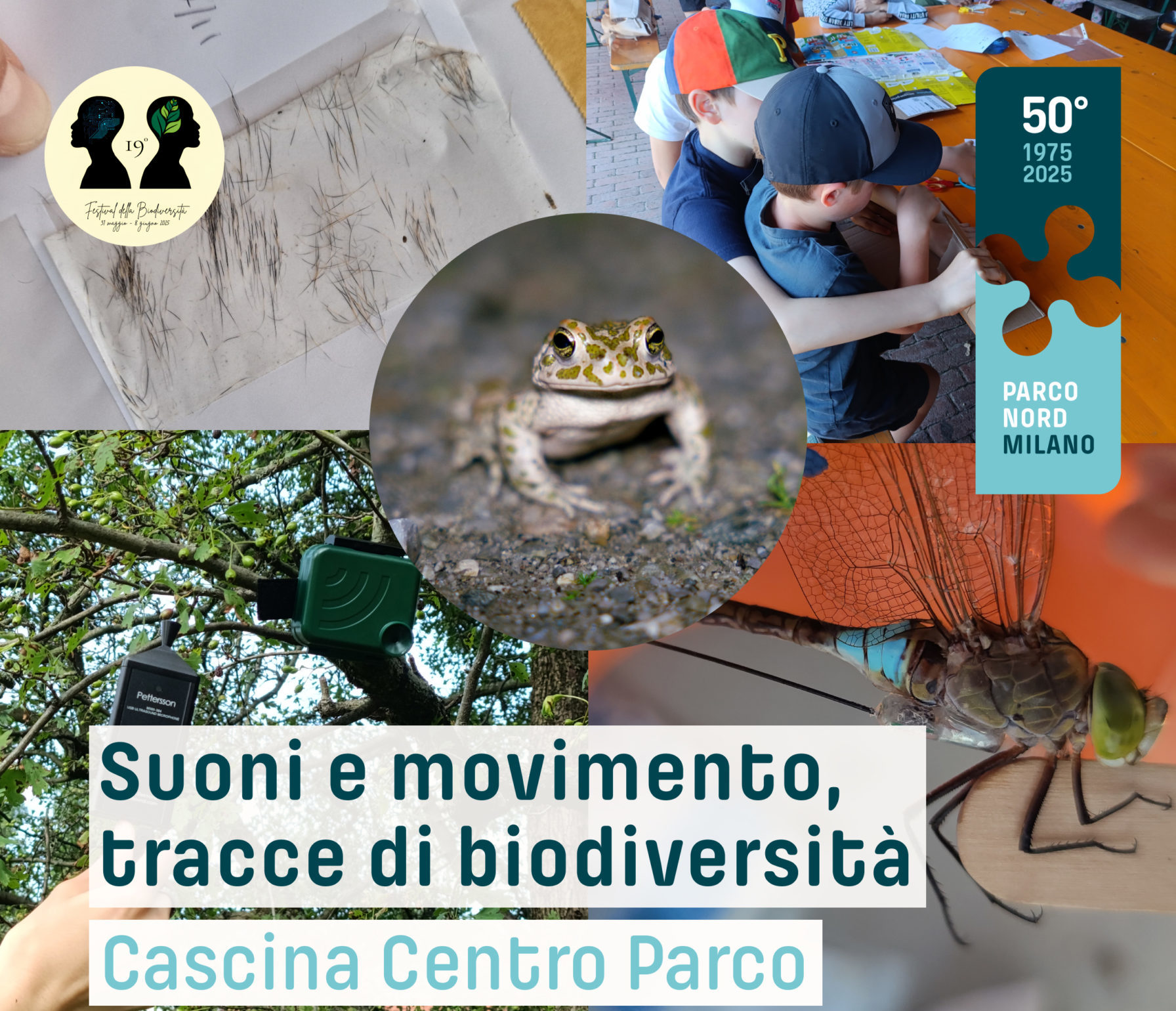 Suoni e movimento, tracce di biodiversità