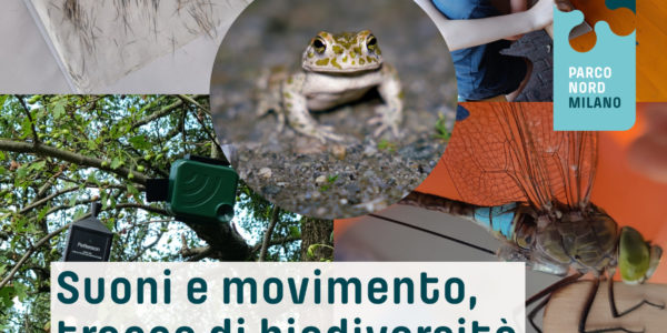Suoni e movimento, tracce di biodiversità