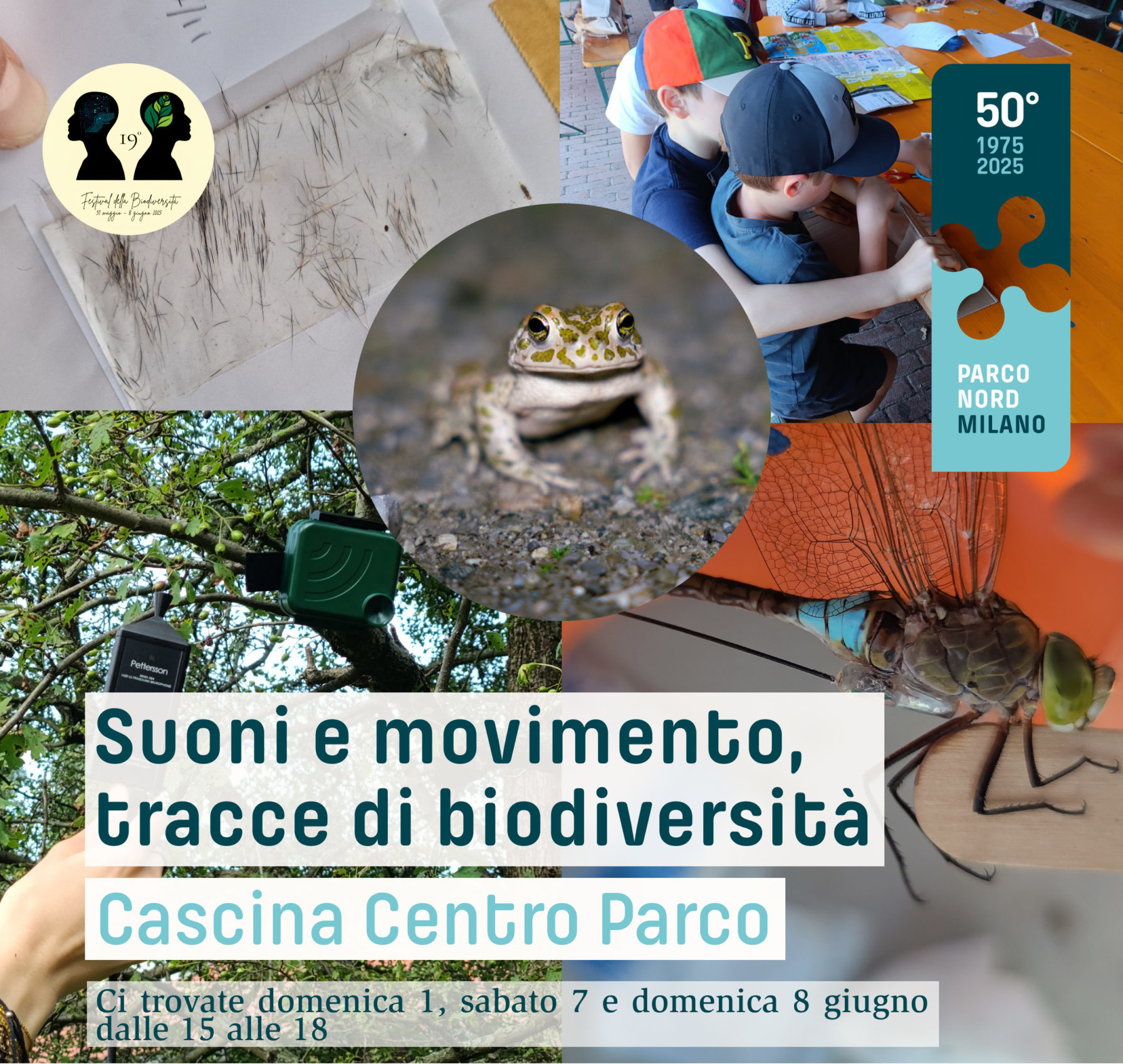 Suoni e movimento, tracce di biodiversità