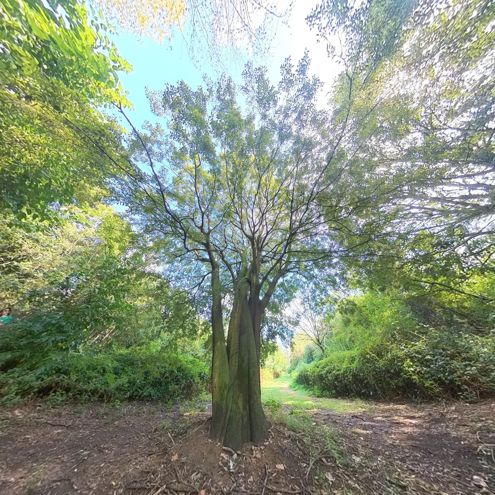 Esplorando la biodiversità, fra passato, presente e futuro​