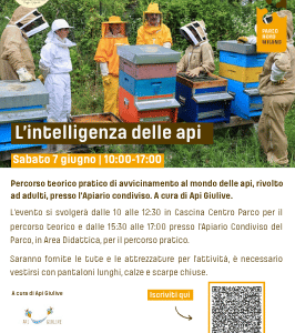 L'intelligenza delle api