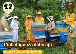 L’intelligenza delle api