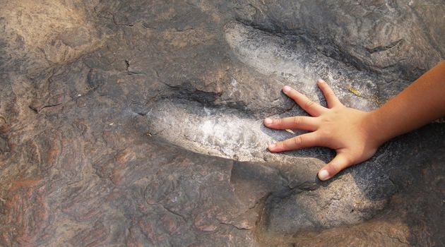 Sulle tracce della natura