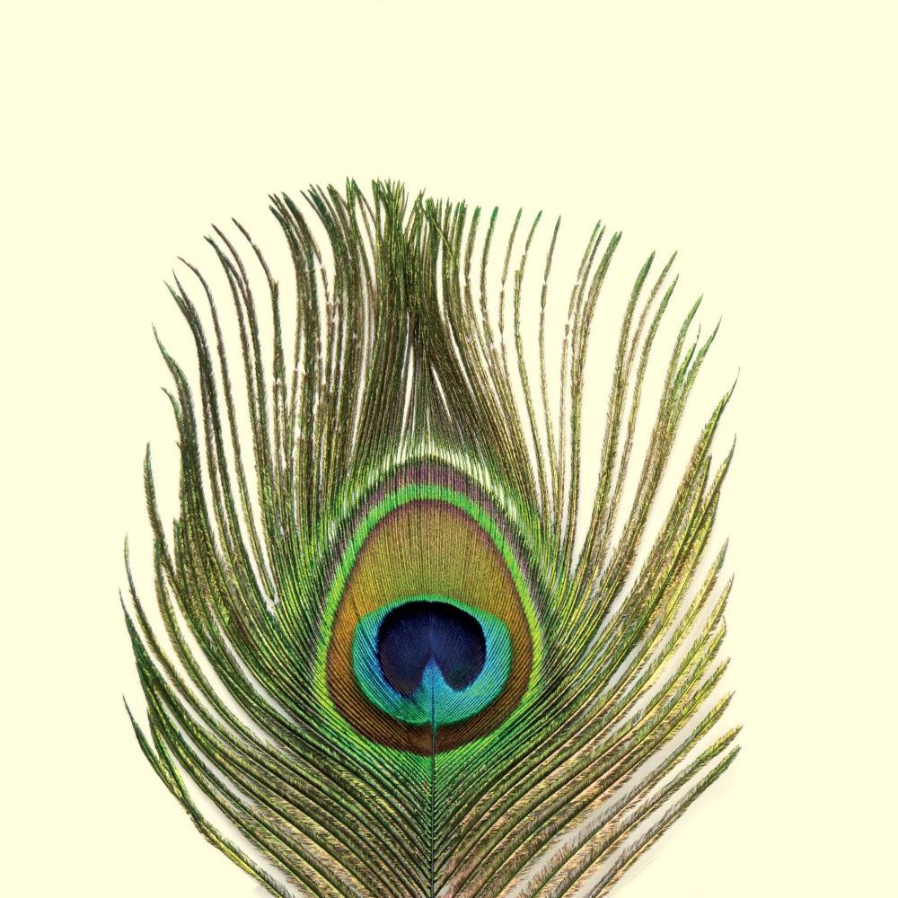 Non siamo gli unici. L’arte segreta della natura