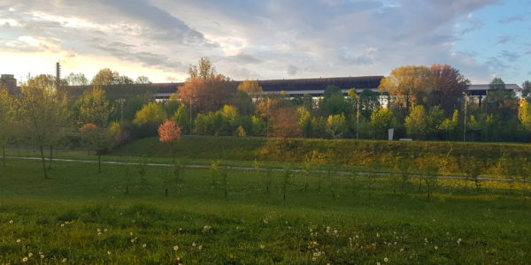 Conferenza Foreste urbane: una ricchezza di benefici, una pluralità di valori