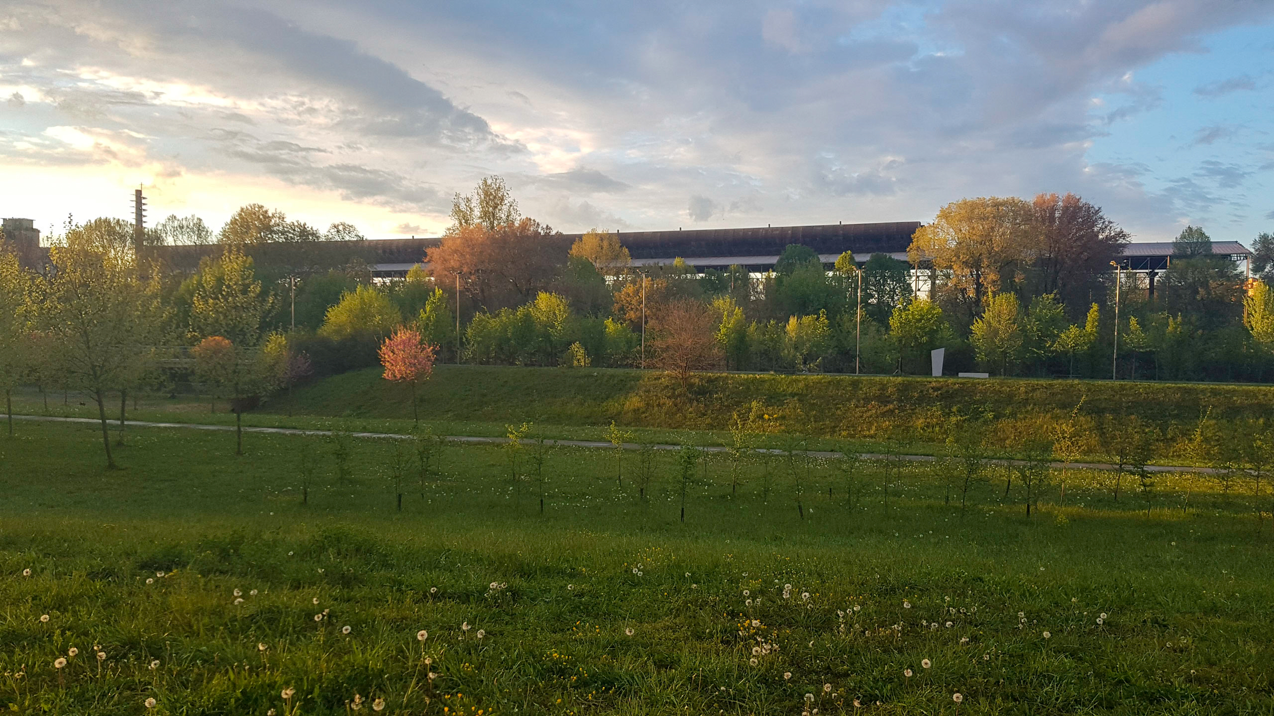 Conferenza Foreste urbane: una ricchezza di benefici, una pluralità di valori