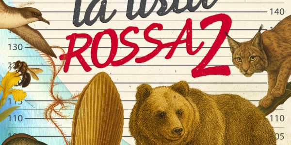 La lista rossa 2 La lista rossa 2