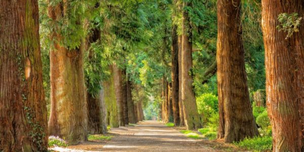 Relazioni ecologiche: esplorazioni della biodiversità dentro e intorno Relazioni ecologiche: esplorazioni della biodiversità dentro e intorno