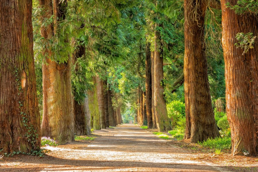Relazioni ecologiche: esplorazioni della biodiversità dentro e intorno
