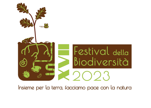 Logo XVII Festival
