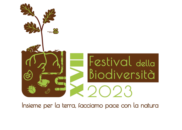 Logo XVII Festival Logo XVII Festival