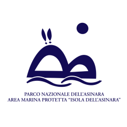 Progetto senza titolo (4)