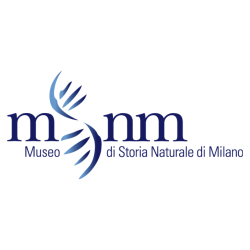 logo 3 (1)