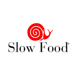 logo 9